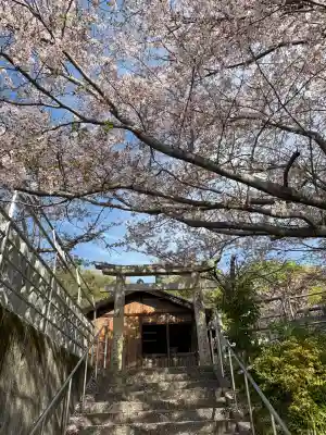 大田神社の{uncategorized: "未分類", other: "その他", undefined: "問題あり", building: "その他建物", grave: "お墓", sacred_gate: "鳥居", guardian: "狛犬", statue: "像", buddha: "仏像", history: "歴史", nature: "自然", garden: "庭園", animal: "動物", pagoda: "塔", temizu: "手水舎", mountain_gate: "山門・神門", sanctuary: "本殿・本堂", subordinate: "末社・摂社", art: "芸術", scenery: "景色", jizo: "地蔵", ema: "絵馬", goshuin: "御朱印", omikuji: "おみくじ", items: "授与品その他", amulet: "お守り", goshuincho: "御朱印帳", eats: "食事", festival: "お祭り", votive_dance: "神楽", shichigosan: "七五三参", wedding: "結婚式", experience: "体験その他", initially: "初詣", around: "周辺", anti_infection: "感染症対策"}