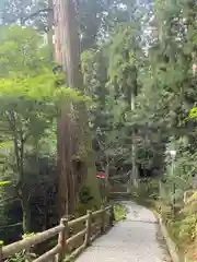 室生寺(奈良県)