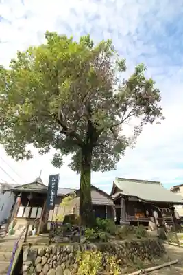 日吉八王子神社の自然