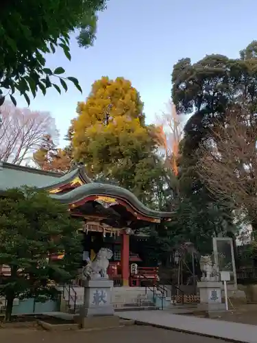 中野氷川神社の本殿・本堂