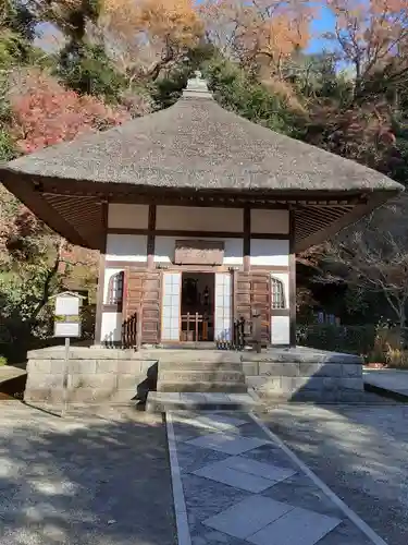 明月院(神奈川県)