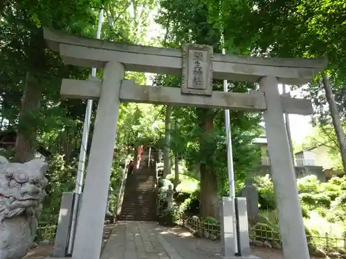 弥生神社の鳥居