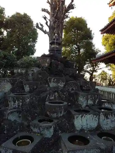 宝仙寺の庭園