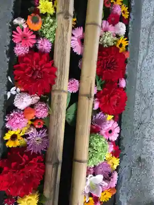 札幌護國神社の手水舎