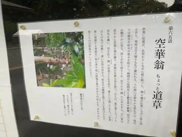 八事山 興正寺(愛知県)