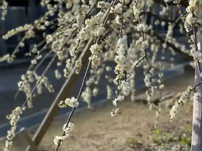 伊勢の国 四天王寺(三重県)