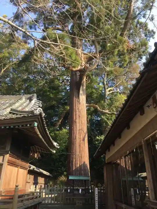 事任八幡宮の自然