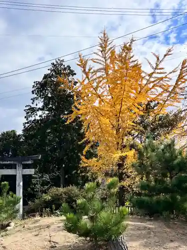 粟井神社(香川県)