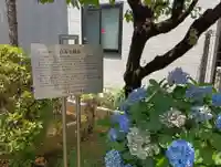 南谷寺(東京都)