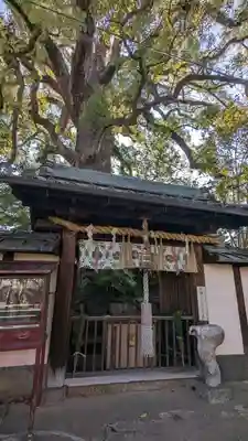 新熊野神社(京都府)