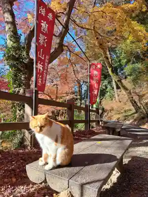 唐澤山神社(栃木県)