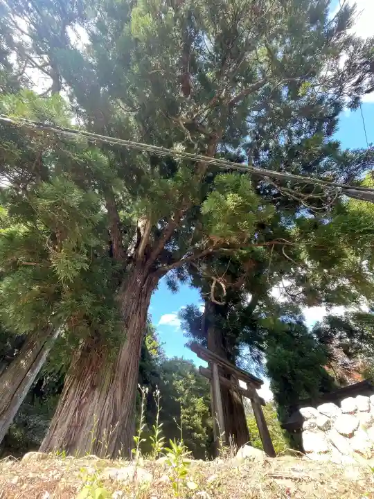 劔主神社(奈良県)