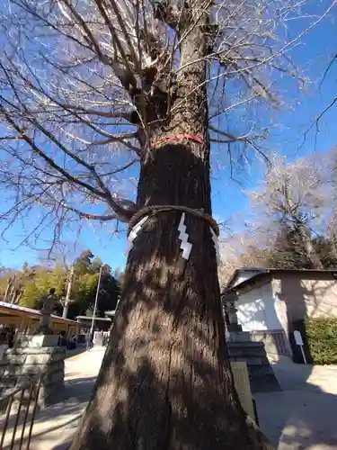 春日部八幡神社(埼玉県)