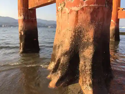 厳島神社(広島県)