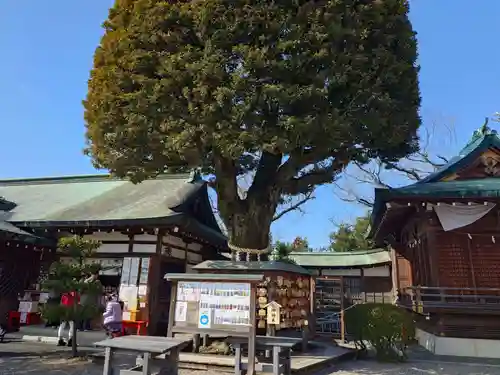 足利織姫神社(栃木県)