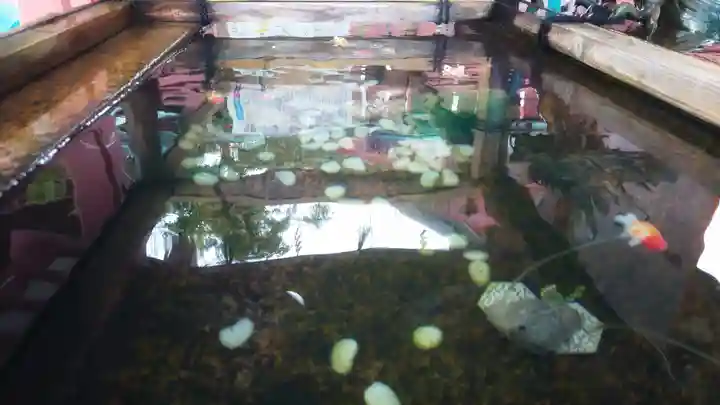 津島神社の手水舎