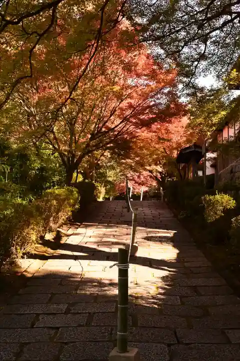 曼殊院門跡(京都府)