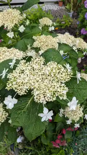 三輪神社の自然
