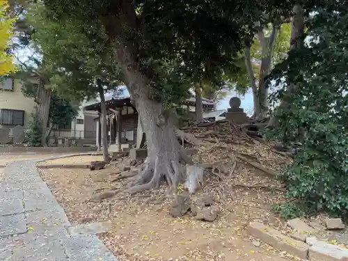 稲荷神社(千葉県)