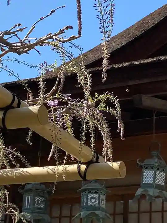 春日大社の庭園