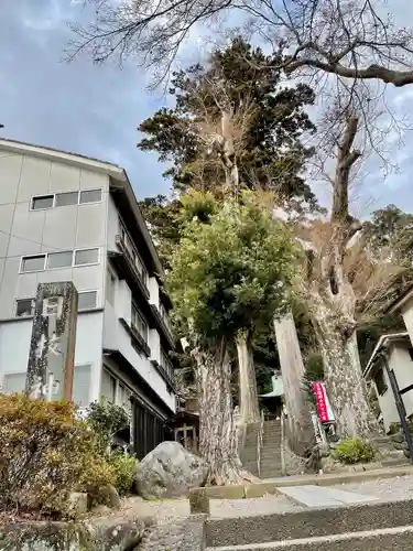 日枝神社の建物その他