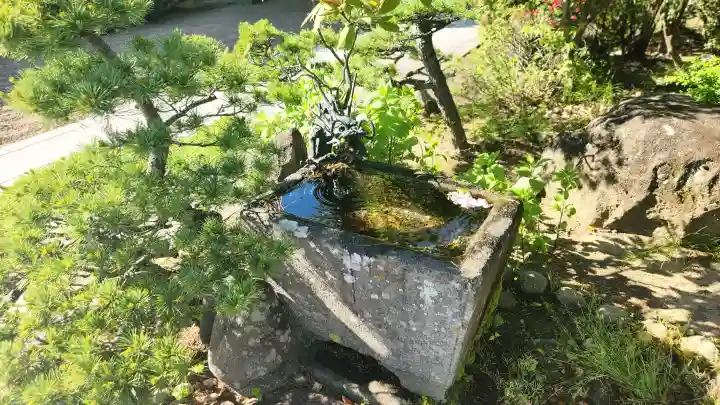 円通寺の{uncategorized: "未分類", other: "その他", undefined: "問題あり", building: "その他建物", grave: "お墓", sacred_gate: "鳥居", guardian: "狛犬", statue: "像", buddha: "仏像", history: "歴史", nature: "自然", garden: "庭園", animal: "動物", pagoda: "塔", temizu: "手水舎", mountain_gate: "山門・神門", sanctuary: "本殿・本堂", subordinate: "末社・摂社", art: "芸術", scenery: "景色", jizo: "地蔵", ema: "絵馬", goshuin: "御朱印", omikuji: "おみくじ", items: "授与品その他", amulet: "お守り", goshuincho: "御朱印帳", eats: "食事", festival: "お祭り", votive_dance: "神楽", shichigosan: "七五三参", wedding: "結婚式", experience: "体験その他", initially: "初詣", around: "周辺", anti_infection: "感染症対策"}