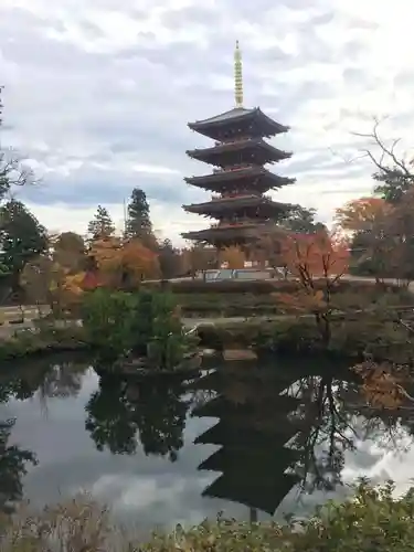 成相寺の庭園