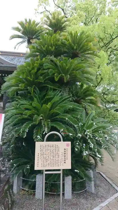 本渡諏訪神社の歴史