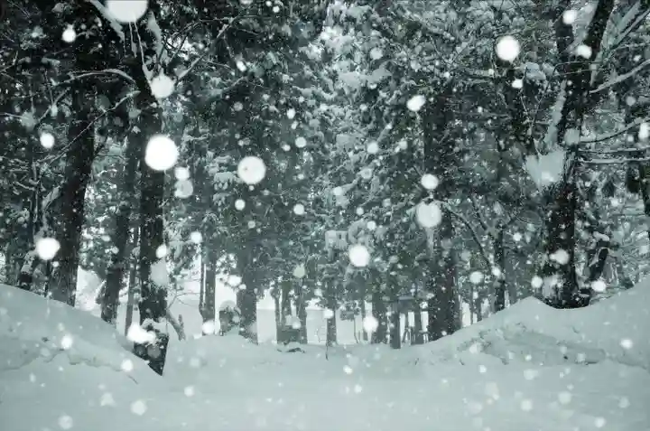 飯笠山神社(長野県)