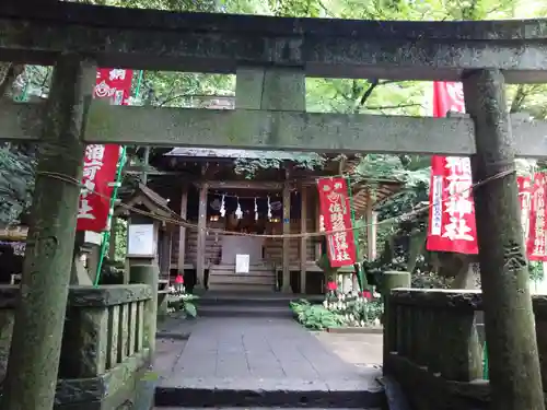 佐助稲荷神社の鳥居