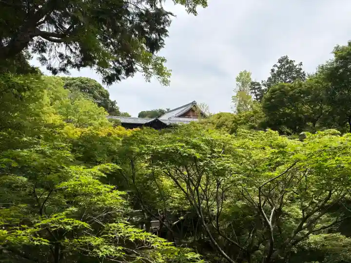 東福禅寺(東福寺)(京都府)