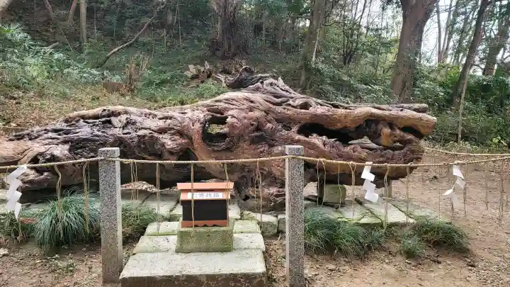 泉神社の{uncategorized: "未分類", other: "その他", undefined: "問題あり", building: "その他建物", grave: "お墓", sacred_gate: "鳥居", guardian: "狛犬", statue: "像", buddha: "仏像", history: "歴史", nature: "自然", garden: "庭園", animal: "動物", pagoda: "塔", temizu: "手水舎", mountain_gate: "山門・神門", sanctuary: "本殿・本堂", subordinate: "末社・摂社", art: "芸術", scenery: "景色", jizo: "地蔵", ema: "絵馬", goshuin: "御朱印", omikuji: "おみくじ", items: "授与品その他", amulet: "お守り", goshuincho: "御朱印帳", eats: "食事", festival: "お祭り", votive_dance: "神楽", shichigosan: "七五三参", wedding: "結婚式", experience: "体験その他", initially: "初詣", around: "周辺", anti_infection: "感染症対策"}