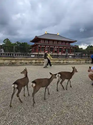 興福寺(奈良県)