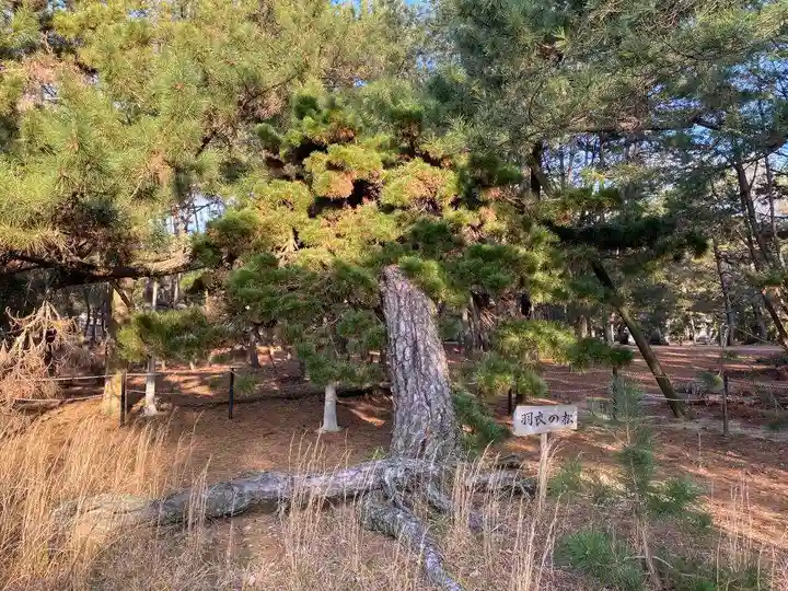 古尾八幡宮(山口県)