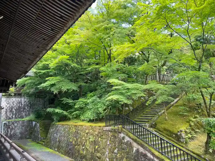 禅林寺(永観堂)(京都府)