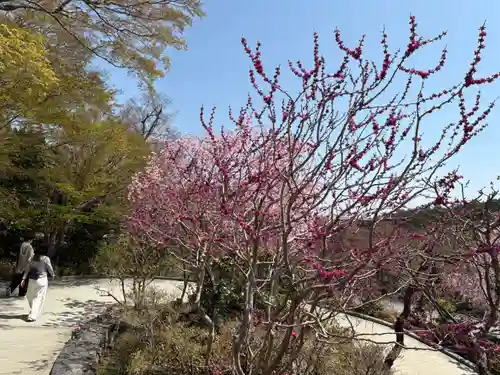 勝尾寺(大阪府)