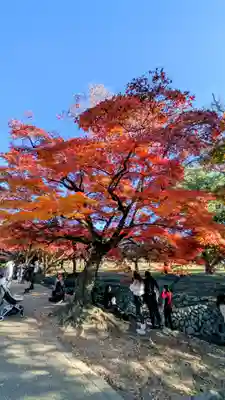 夫婦大國社(春日大社末社)(奈良県)