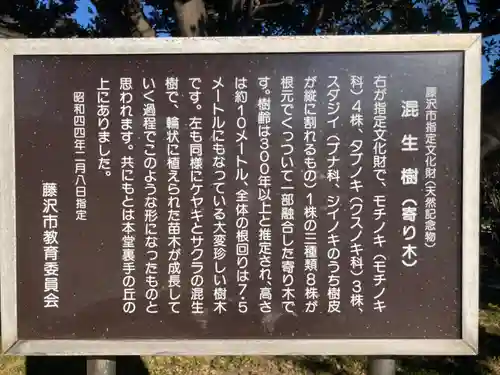 慈眼寺(神奈川県)