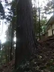 菅船神社の自然