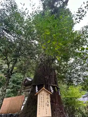 丹生川上神社（中社）(奈良県)