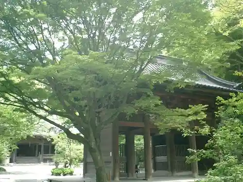 妙本寺の山門