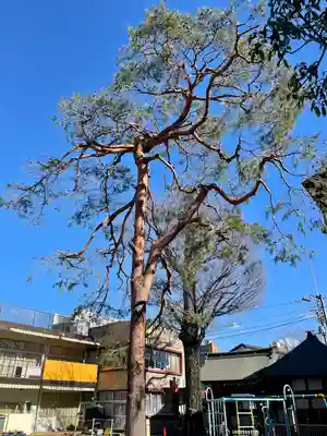 覺願寺(東京都)