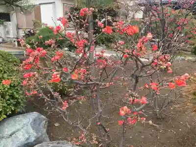 最願寺の{uncategorized: "未分類", other: "その他", undefined: "問題あり", building: "その他建物", grave: "お墓", sacred_gate: "鳥居", guardian: "狛犬", statue: "像", buddha: "仏像", history: "歴史", nature: "自然", garden: "庭園", animal: "動物", pagoda: "塔", temizu: "手水舎", mountain_gate: "山門・神門", sanctuary: "本殿・本堂", subordinate: "末社・摂社", art: "芸術", scenery: "景色", jizo: "地蔵", ema: "絵馬", goshuin: "御朱印", omikuji: "おみくじ", items: "授与品その他", amulet: "お守り", goshuincho: "御朱印帳", eats: "食事", festival: "お祭り", votive_dance: "神楽", shichigosan: "七五三参", wedding: "結婚式", experience: "体験その他", initially: "初詣", around: "周辺", anti_infection: "感染症対策"}