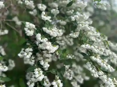 住吉大社(大阪府)