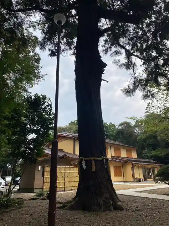 息栖神社(茨城県)