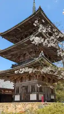 南法華寺（壷阪寺）(奈良県)