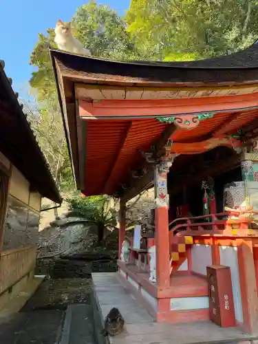 上岩出神社の{uncategorized: "未分類", other: "その他", undefined: "問題あり", building: "その他建物", grave: "お墓", sacred_gate: "鳥居", guardian: "狛犬", statue: "像", buddha: "仏像", history: "歴史", nature: "自然", garden: "庭園", animal: "動物", pagoda: "塔", temizu: "手水舎", mountain_gate: "山門・神門", sanctuary: "本殿・本堂", subordinate: "末社・摂社", art: "芸術", scenery: "景色", jizo: "地蔵", ema: "絵馬", goshuin: "御朱印", omikuji: "おみくじ", items: "授与品その他", amulet: "お守り", goshuincho: "御朱印帳", eats: "食事", festival: "お祭り", votive_dance: "神楽", shichigosan: "七五三参", wedding: "結婚式", experience: "体験その他", initially: "初詣", around: "周辺", anti_infection: "感染症対策"}