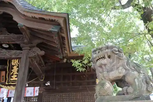 阿邪訶根神社の狛犬