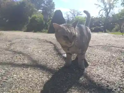 地泉院(愛知県)