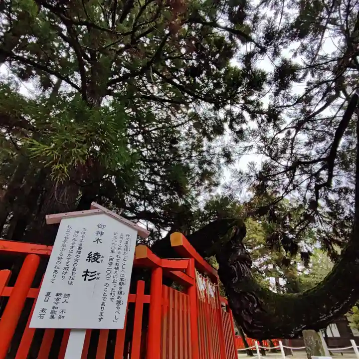 香椎宮(福岡県)